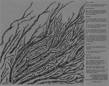 Load image into Gallery viewer, Death Vacation Bones Grow Cold, Flexi, 7, S/Sided, Blu, (Near Mint (NM or M-))