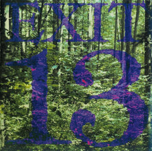 Load image into Gallery viewer, Exit-13 Don`t Spare The Green Love, CD, Comp, (Mint (M))