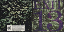 Load image into Gallery viewer, Exit-13 Don`t Spare The Green Love, CD, Comp, (Mint (M))