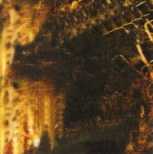 Load image into Gallery viewer, Fleshtized Here Among Thorns, CD, Album, (Mint (M))