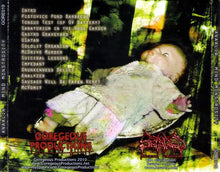 Load image into Gallery viewer, Anaalia Mind Monstrosity, CD, Album, (Very Good Plus (VG+))