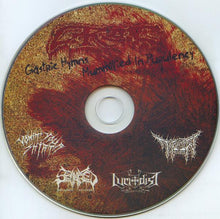 Load image into Gallery viewer, Grog (2) Gastric Hymns Mummified In Purulency, CD, Comp, (Near Mint (NM or M-))
