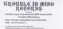 Load image into Gallery viewer, Estrogen Highs Irrelevant Future, LP, Album, Ltd, Col, (Near Mint (NM or M-))