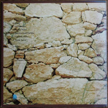 Load image into Gallery viewer, Ben Sidran Puttin` In Time On Planet Earth, LP, Album, (Very Good Plus (VG+))