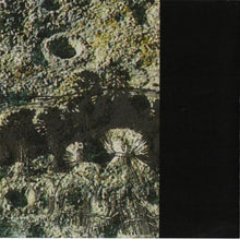 Load image into Gallery viewer, Harvestman Lashing The Rye, CD, Album, (Near Mint (NM or M-))