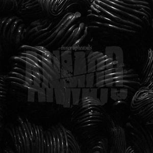 Anmod Inner Upheavals, CD, Album, Ltd, (Near Mint (NM or M-))